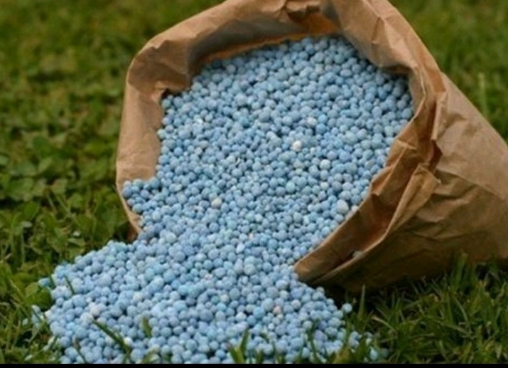 Campagne agricole 2025-2026 au Bénin : l’État subventionne les engrais à hauteur de 26 milliards FCFA