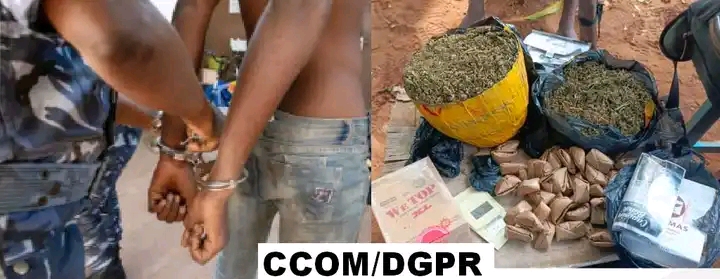 Lutte contre la commercialisation des stupéfiants au Bénin : un individu arrêté et une importante quantité de chanvre indien saisie à Djougou et Ouèssè