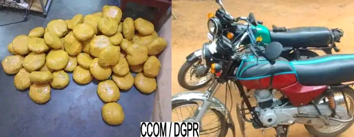 Bénin : 34 kg de chanvre indien saisis par la Police républicaine à Dassa-Zoumè