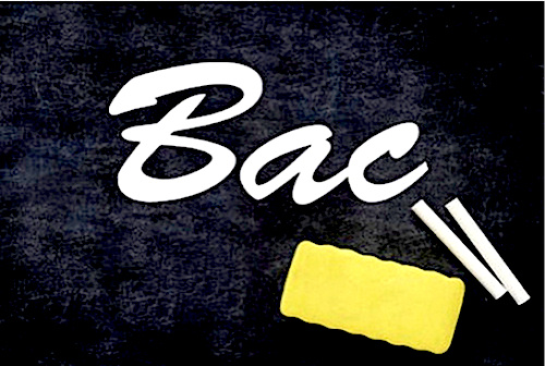 Bac 2025 au Bénin : Voici les taux de réussite par série et par département