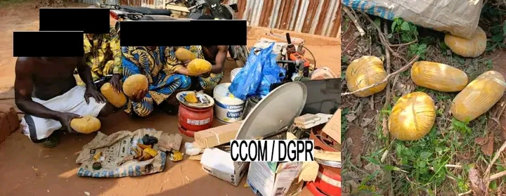 Démantèlement d’un ghetto à Pahou : 04 individus interpellés, des produits psychotropes et des appareils électroménagers d’origine douteuse saisis