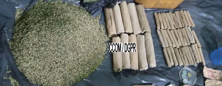 Bénin : 03 individus arrêtés pour trafic de chanvre indien à Covè