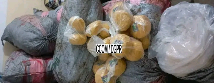 Sèmè-Podji : saisie record de 511 kg de chanvre indien par la Police républicaine