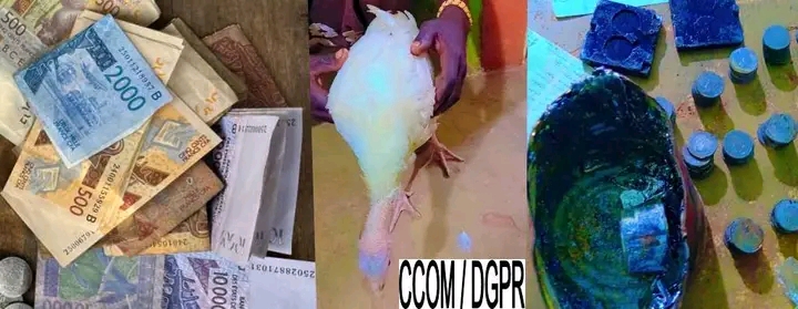 Covè : à la recherche de dindons volés, la Police met la main sur plus de deux millions de faux billets