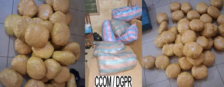 Département du Zou : 02 présumés trafiquants interpellés avec 130 kg de chanvre indien à Bohicon