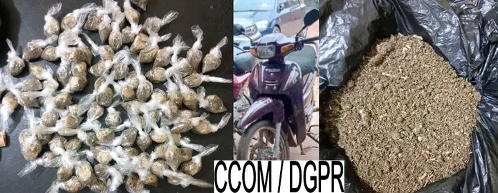 Bénin : 21 individus interpellés lors d’une opération contre les fumoirs clandestins à Dantokpa