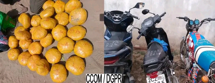 Démantèlement de ghettos à Pahou : trois individus interpellés, plus de 17 kg de chanvre indien et des motos saisis