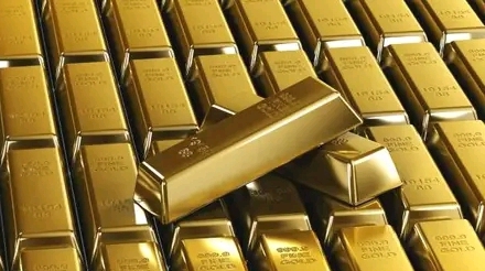 Pahou : 06 personnes interpellées pour un vol de 163 grammes d’or commis au Nigéria