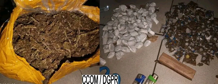 Lutte contre le trafic de chanvre indien : 02 individus interpellés à Djitin Aga