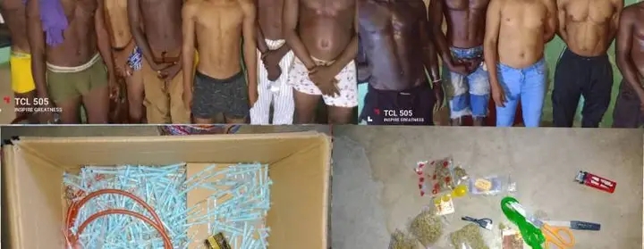 Opération anti-drogue à Ekpè : 13 individus interpellés par la police