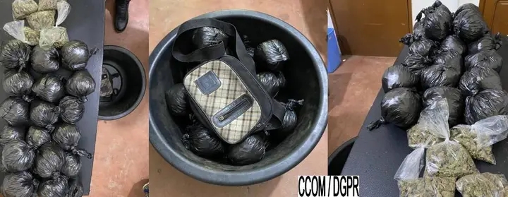 Bénin : 04 personnes arrêtées pour trafic de produits psychotropes à Jonquet