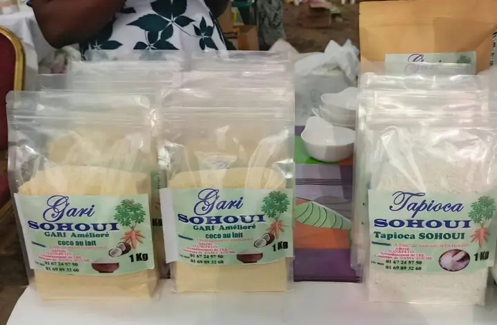 Lancement officiel du PDCV-RT : un tournant pour les filières du manioc, de l’igname et de la patate douce