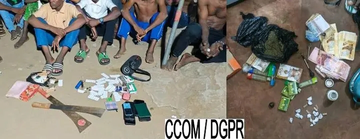 Vaste coup de filet contre les trafiquants de produits psychotropes : 20 suspects interpellés à Ouidah