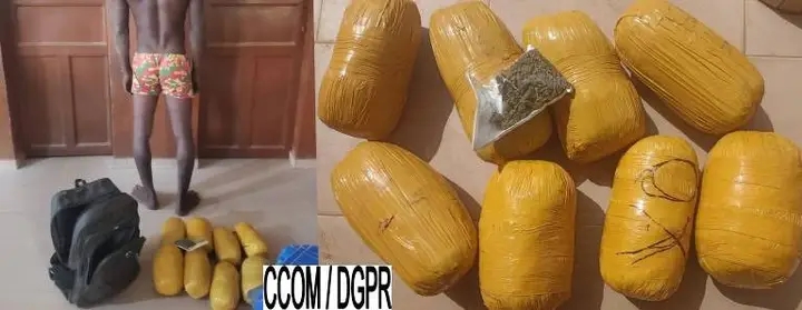 Trafic de drogue : un individu interpellé avec huit boules de chanvre à la frontière de Madjatom