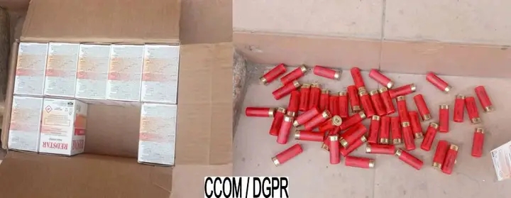 Opération conjointe Police-Douanes : 500 cartouches de calibre 12 saisies à la frontière de Kassouala