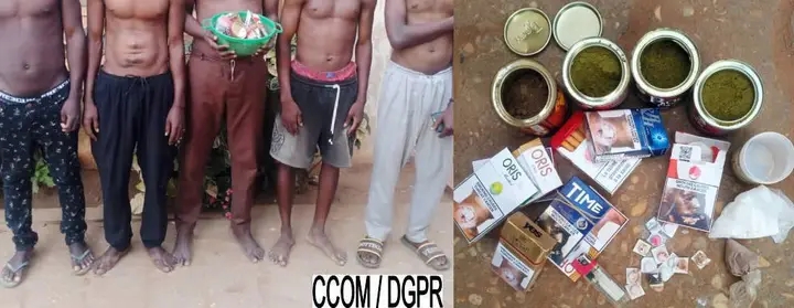 Abomey-Calavi : un kiosque transformé en point de vente de produits psychotropes démantelé, 05 suspects interpellés