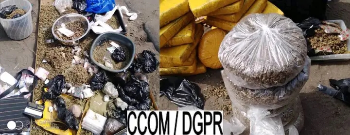 Lutte contre la drogue : 15 personnes interpellées et plus de 30 kg de chanvre indien saisis à Sèkandji