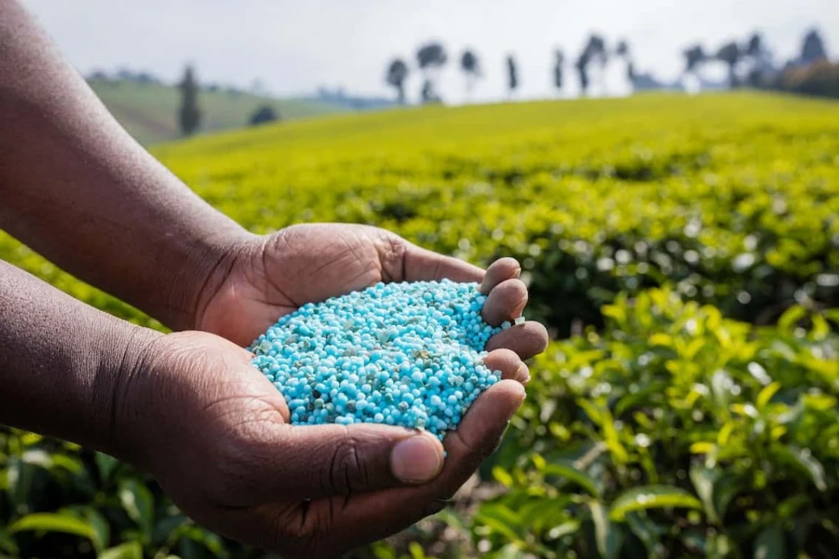 Campagne agricole 2026-2027 : le gouvernement béninois maintient la subvention des engrais