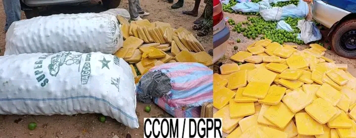 Parakou : 226 plaquettes de chanvre indien découvertes sous des oranges dans un véhicule de transport, le conducteur interpellé