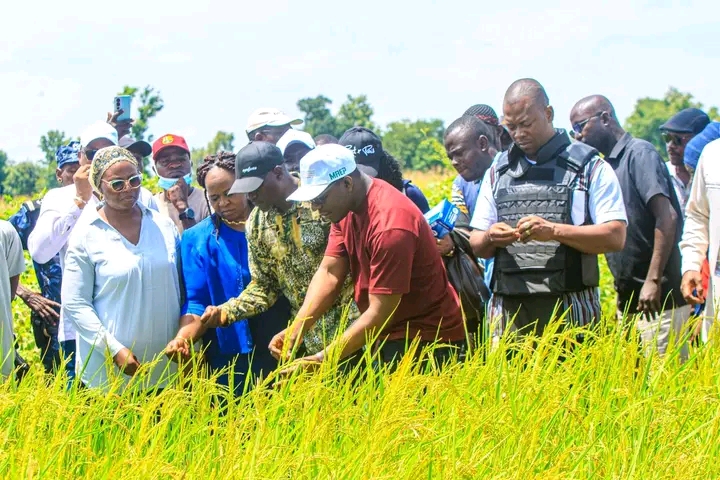 Suivi de la campagne agricole 2026-2027 : le ministre de l’Agriculture au contact des producteurs dans sept communes