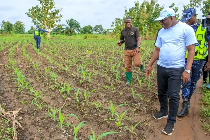 Programme de Productivité agricole : le ministre Adin Yéton Bloukounon Goubalan prend le pouls de la phase pilote dans dix communes