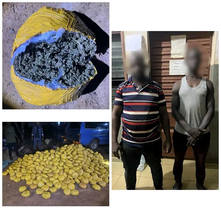 Bantè : 02 ressortissants togolais interpellés avec 1 031 boules de chanvre indien